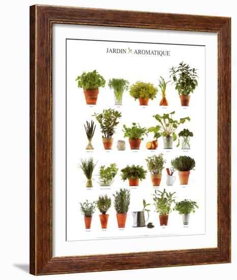 Aromatic Garden-null-Framed Art Print