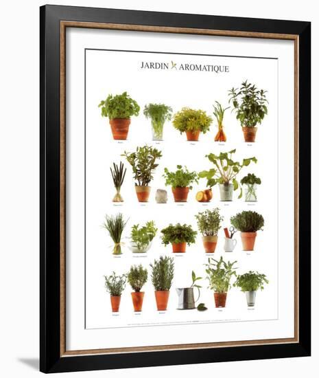 Aromatic Garden-null-Framed Art Print
