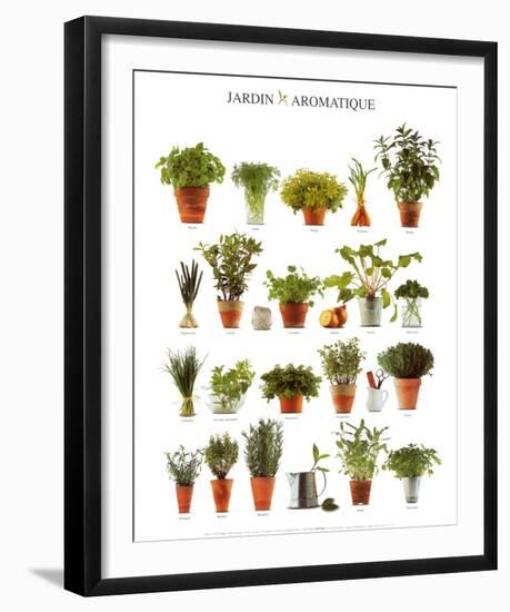 Aromatic Garden-null-Framed Art Print