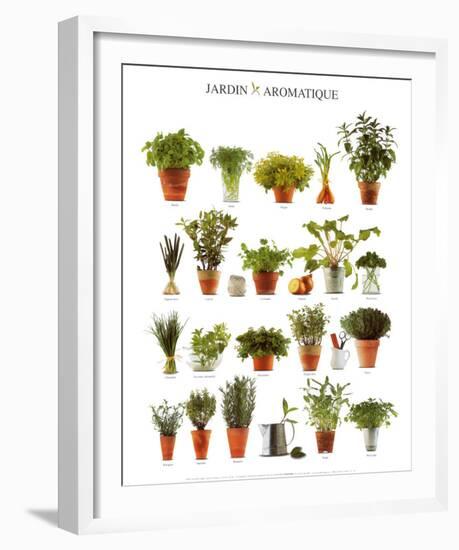 Aromatic Garden-null-Framed Art Print