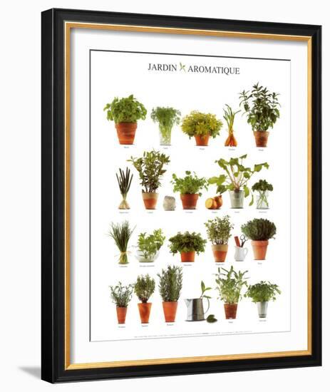 Aromatic Garden-null-Framed Art Print