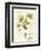 Aromatique I-Lisa Audit-Framed Art Print