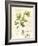 Aromatique I-Lisa Audit-Framed Premium Giclee Print