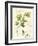 Aromatique I-Lisa Audit-Framed Premium Giclee Print