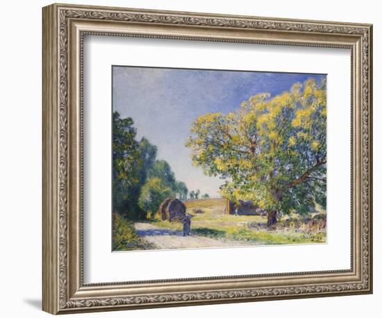 Around the Forest, a Clearing; Autour De La Foret, Une Clairiere, 1895-Alfred Sisley-Framed Giclee Print