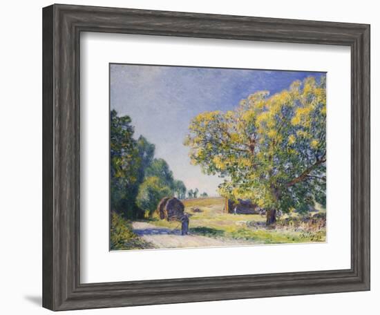 Around the Forest, a Clearing; Autour De La Foret, Une Clairiere, 1895-Alfred Sisley-Framed Giclee Print