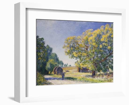 Around the Forest, a Clearing; Autour De La Foret, Une Clairiere, 1895-Alfred Sisley-Framed Giclee Print