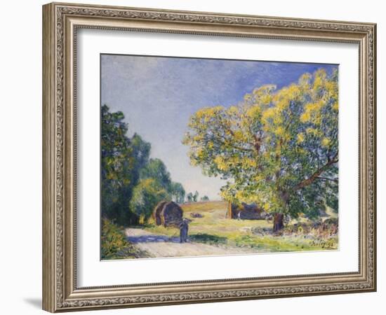 Around the Forest, a Clearing; Autour De La Foret, Une Clairiere, 1895-Alfred Sisley-Framed Giclee Print