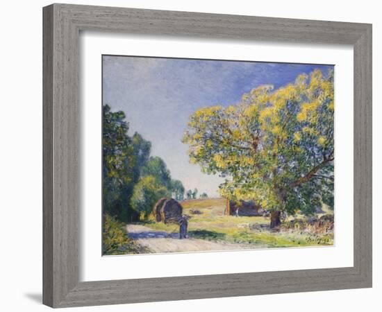 Around the Forest, a Clearing; Autour De La Foret, Une Clairiere, 1895-Alfred Sisley-Framed Giclee Print