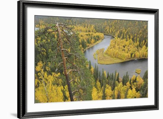 Around the River Bend-Staffan Widstrand-Framed Giclee Print