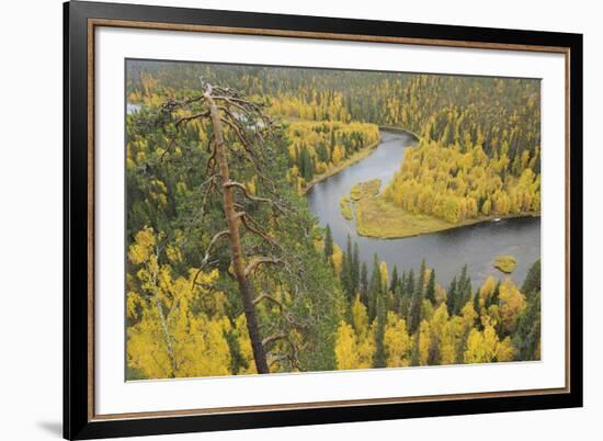 Around the River Bend-Staffan Widstrand-Framed Giclee Print