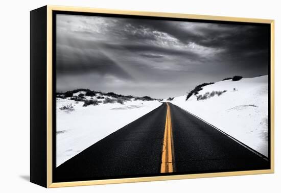 Around the yellow line-Philippe Sainte-Laudy-Framed Premier Image Canvas