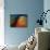 Arpeggio-Ursula Abresch-Photographic Print displayed on a wall