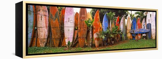 Arranged Surfboards, Maui, Hawaii, USA-null-Framed Stretched Canvas