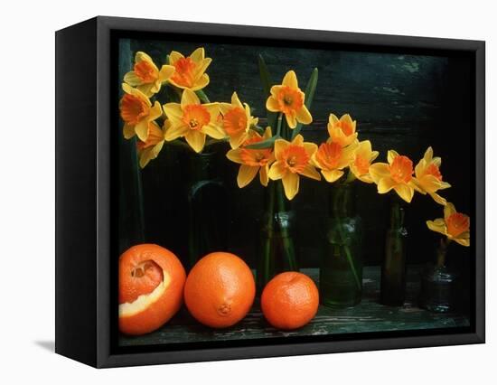 Arrangement of Daffodils and Oranges-Michelle Garrett-Framed Premier Image Canvas