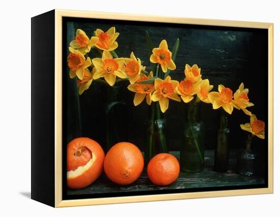 Arrangement of Daffodils and Oranges-Michelle Garrett-Framed Premier Image Canvas