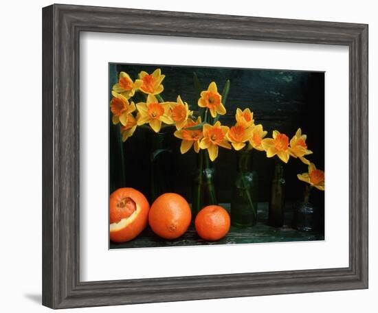 Arrangement of Daffodils and Oranges-Michelle Garrett-Framed Photographic Print