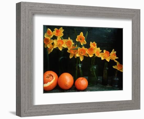 Arrangement of Daffodils and Oranges-Michelle Garrett-Framed Photographic Print