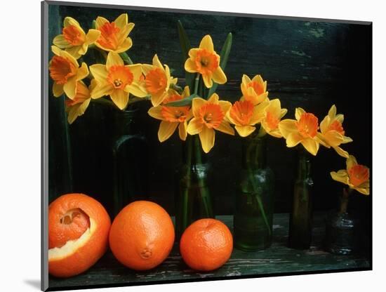 Arrangement of Daffodils and Oranges-Michelle Garrett-Mounted Photographic Print