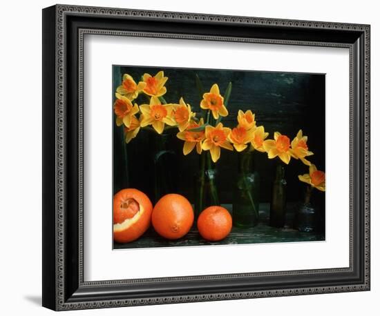 Arrangement of Daffodils and Oranges-Michelle Garrett-Framed Photographic Print