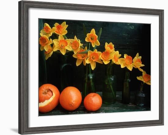 Arrangement of Daffodils and Oranges-Michelle Garrett-Framed Photographic Print