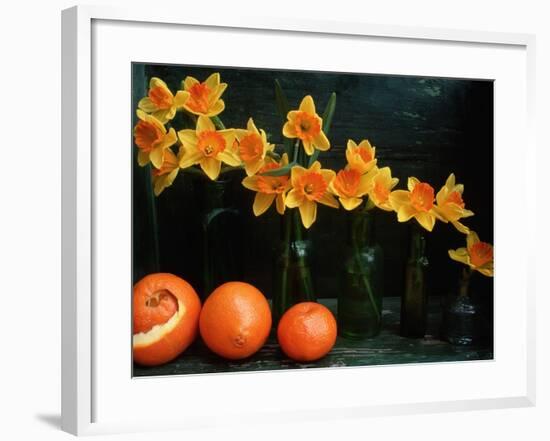Arrangement of Daffodils and Oranges-Michelle Garrett-Framed Photographic Print