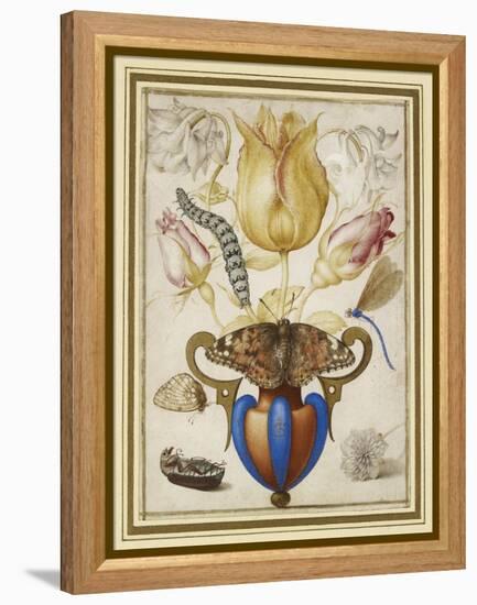 Arrangement of Flowers in a Vase, with Insects, 1594 (Watercolour with Gold on Vellum)-Joris Hoefnagel-Framed Premier Image Canvas