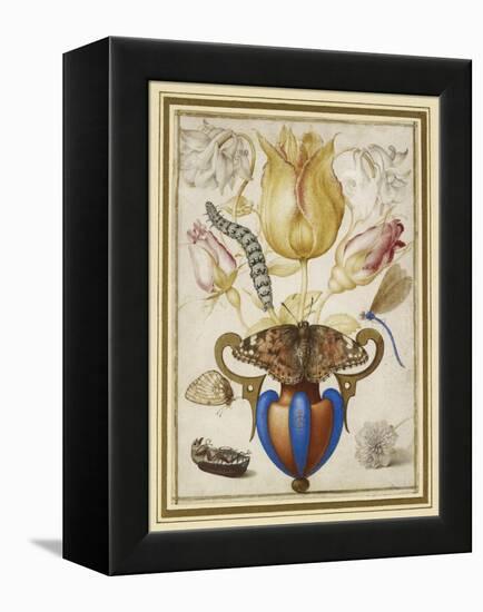Arrangement of Flowers in a Vase, with Insects, 1594 (Watercolour with Gold on Vellum)-Joris Hoefnagel-Framed Premier Image Canvas