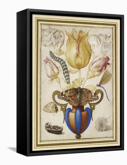 Arrangement of Flowers in a Vase, with Insects, 1594 (Watercolour with Gold on Vellum)-Joris Hoefnagel-Framed Premier Image Canvas