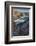 Arranmore Island, County Donegal, Ulster, Republic of Ireland, Europe-Carsten Krieger-Framed Photographic Print