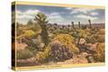 Stretched Canvas Print