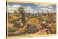 Stretched Canvas Print