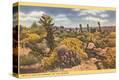 Stretched Canvas Print