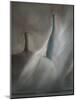 arredamento tranquillo-Gilbert Claes-Mounted Giclee Print