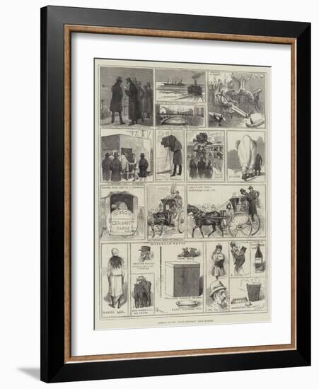 Arrival of the White Elephant from Burmah-Alfred Courbould-Framed Giclee Print