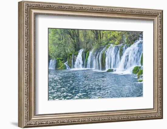 Arrow Bamboo Lake Waterfalls, Jiuzhaigou National Park, Sichuan Province, China, Asia-G & M Therin-Weise-Framed Photographic Print