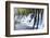 Arrow Bamboo Lake Waterfalls, Jiuzhaigou National Park, Sichuan Province, China, Asia-G & M Therin-Weise-Framed Photographic Print