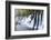 Arrow Bamboo Lake Waterfalls, Jiuzhaigou National Park, Sichuan Province, China, Asia-G & M Therin-Weise-Framed Photographic Print