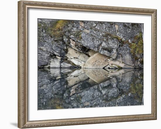 Arrowhead in Horseshoe Lake, Jasper Nat'l Park, UNESCO World Heritage Site, Alberta, Canada-James Hager-Framed Photographic Print