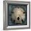 Arrowhead Sand Dollar-John W Golden-Framed Giclee Print