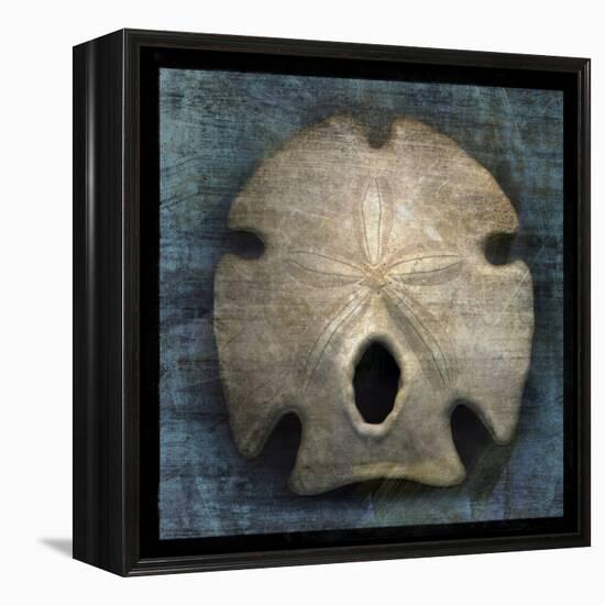 Arrowhead Sand Dollar-John W Golden-Framed Premier Image Canvas