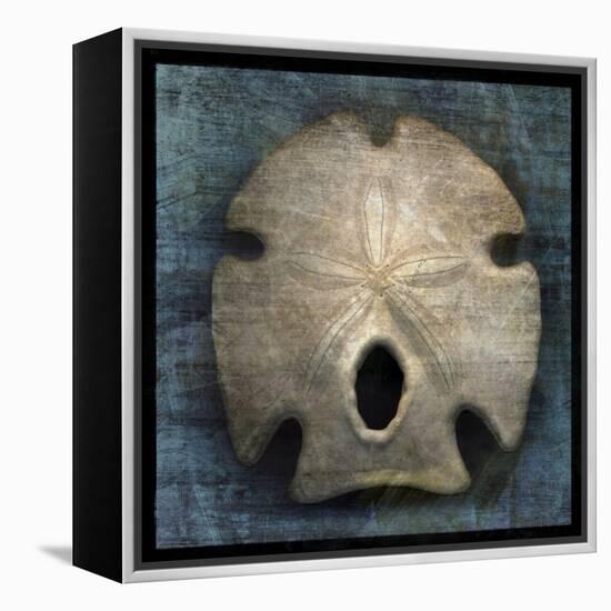 Arrowhead Sand Dollar-John W Golden-Framed Premier Image Canvas