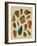 Arrowheads-Cat Coquillette-Framed Giclee Print