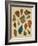 Arrowheads-Cat Coquillette-Framed Giclee Print