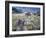 Arrowleaf Balsamroot and Indian Paintbrush, Imnaha River Canyon Rim, Oregon, USA-William Sutton-Framed Photographic Print