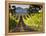 Arroye Grande, California: a Central Coast Winery-Ian Shive-Framed Premier Image Canvas