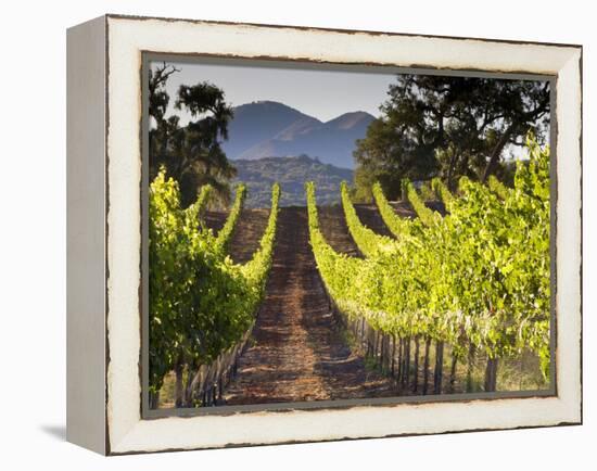 Arroye Grande, California: a Central Coast Winery-Ian Shive-Framed Premier Image Canvas