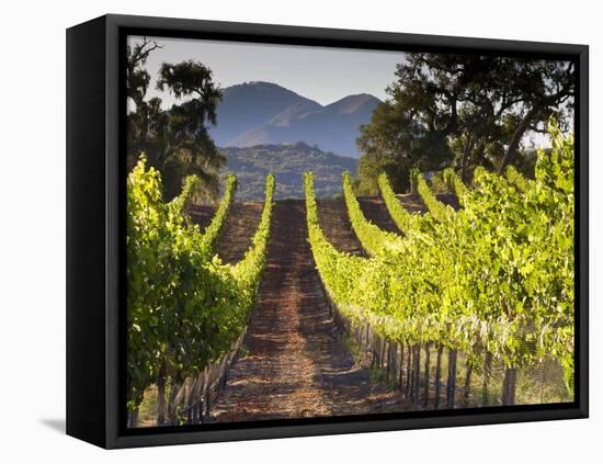 Arroye Grande, California: a Central Coast Winery-Ian Shive-Framed Premier Image Canvas