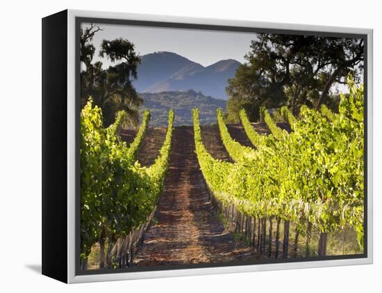 Arroye Grande, California: a Central Coast Winery-Ian Shive-Framed Premier Image Canvas