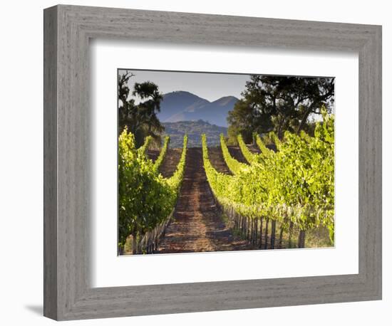 Arroye Grande, California: a Central Coast Winery-Ian Shive-Framed Premium Photographic Print